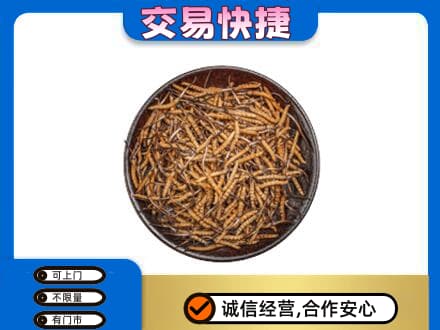 咸宁回收散虫草